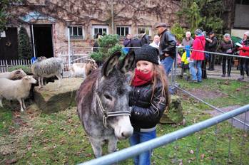 Quelle: E. Schapeler